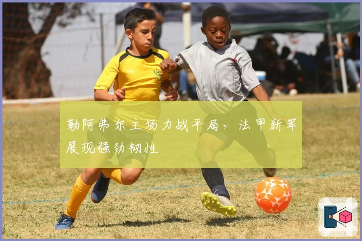 勒阿弗尔主场力战平局，法甲新军展现强劲韧性