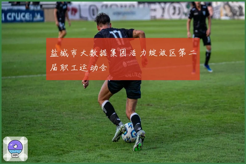 盐城市大数据集团活力绽放区第二届职工运动会